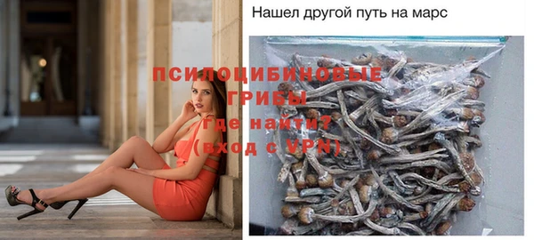 гидра Алексин