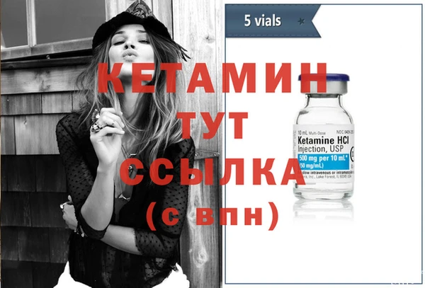 гидра Алексин