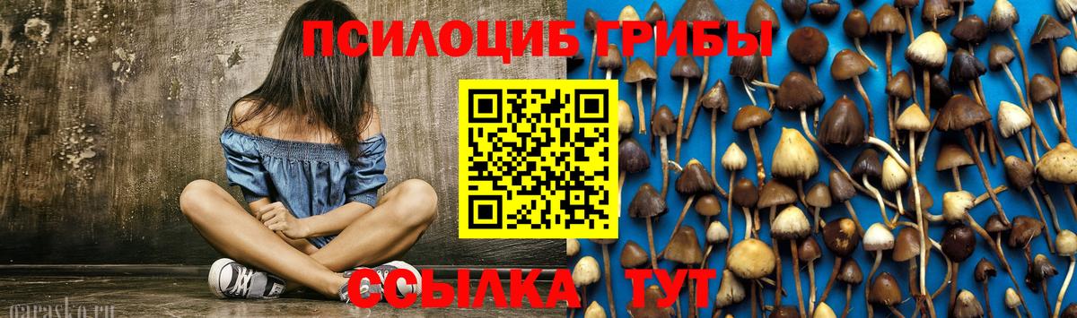 купить  сайты  Вход с VPN  Галлюциногенные грибы Psilocybine cubensis  Алексин  Псилоцибиновые грибы мухоморы 